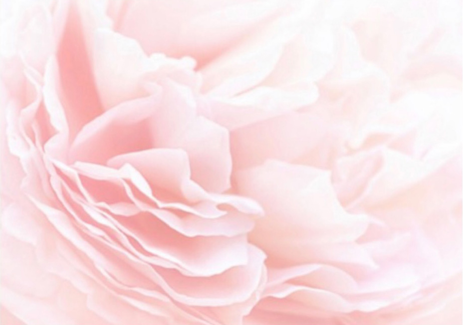  ch22_4_6_p3.jpg