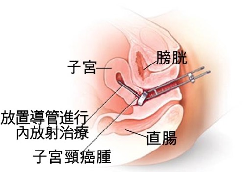  ch9_article19_p9.jpg